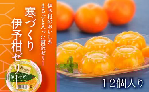 【 柑橘 寒づくり ゼリー】いよかん ゼリー 12個 セット みかん 蜜柑 柑橘 いよかん 伊予柑 菓子 お菓子 果汁 スイーツ 愛媛県 松山市