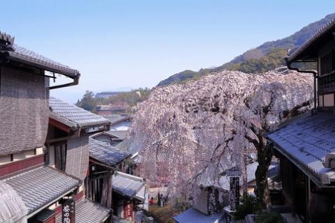 【京都市】JTBふるさと納税旅行クーポン（300,000円分）