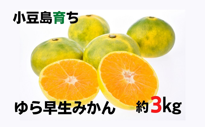 
[№5668-0473]小豆島　ゆら早生みかん　約3kg
