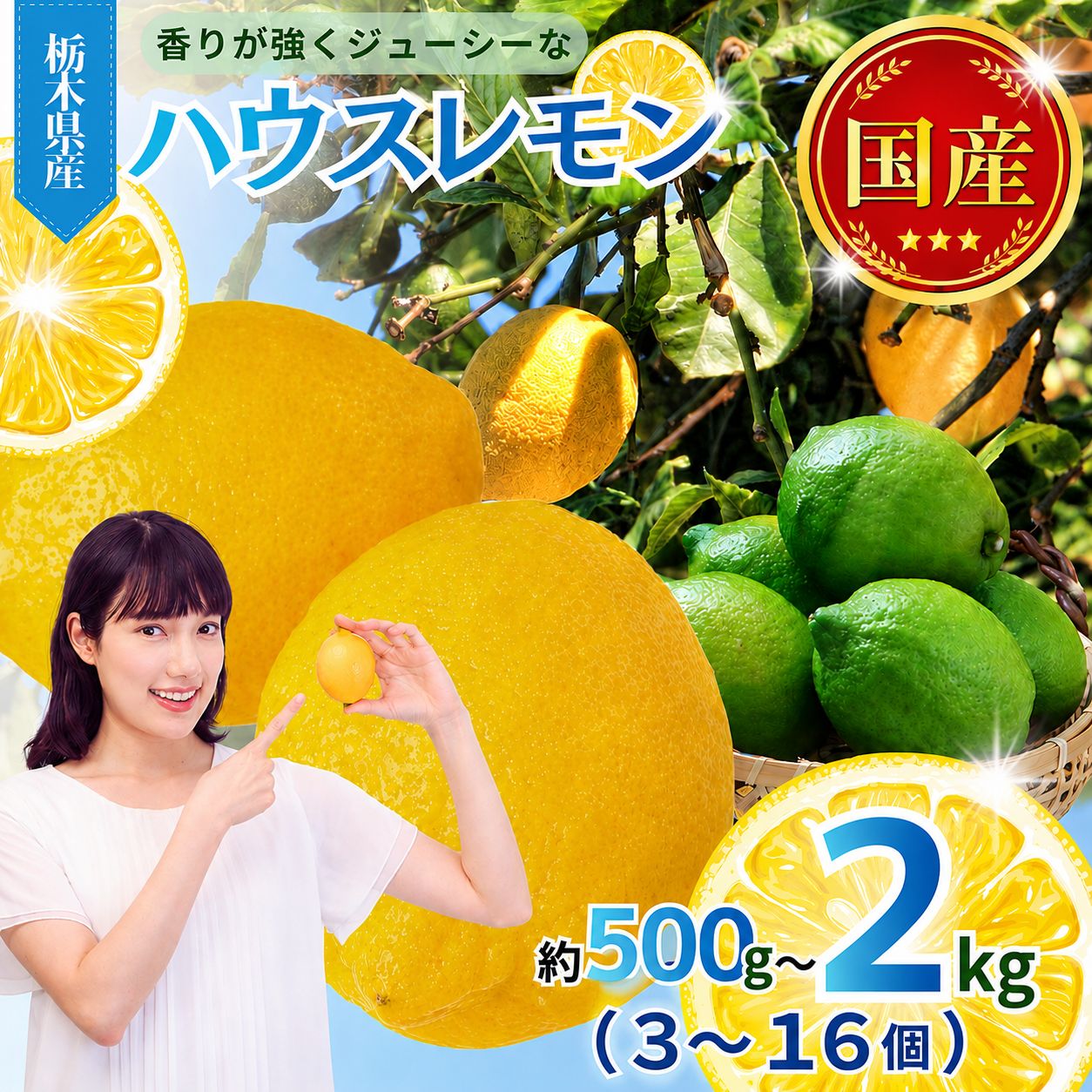 【ふるさと納税】レモン 【先行予約】真岡市産 ハウス レモン 選べる kg数｜2kg 1kg 500g 2026年11月~ れもん グリーン 酸味 香り 強い イエロー 糖度 高い 果汁 ノーワックス 防腐剤 防カビ剤 不使用 皮ごと 国産 真岡市 栃木県 送料無料