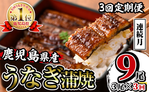 i854-A ＜定期便・計3回(連続月)＞鹿児島県産うなぎ蒲焼3尾セット＜(約140g×3・計約420g)×全3回＞ うなぎ 鰻 ウナギ 2尾 蒲焼き 国産 鹿児島県産 焼きたて 生産量日本一 真空パック おかず 晩御飯 特別な日 土用の丑の日【薩摩川内鰻】