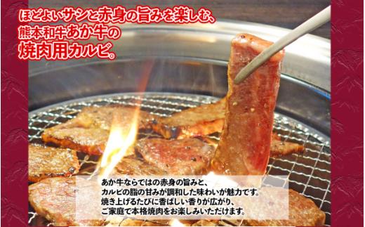 あか牛 カルビ 焼肉用 【400g】 牛肉 肉 熊本和牛 カルビ 牛カルビ 焼肉 焼き肉 赤身 赤身肉 冷凍 熊本県 水上村