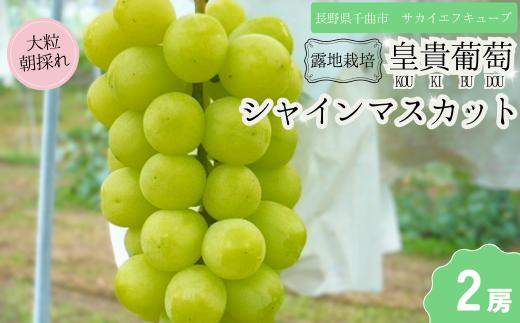 【2025年先行予約】シャインマスカット 露地栽培 秀品 2房 ｜ ぶどう 葡萄 白ぶどう 種無し 種なし 皮ごと 千曲市 長野県産 信州