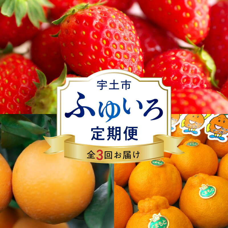 【ふるさと納税】ふゆいろ定期便 3ヶ月 デコポン 約2kg 完熟いちご 約600g 網田ネーブル 約5kg フルーツ 柑橘 ジューシー いちご 糖度12度以上 ネーブル オレンジ ビタミン ミネラル 果物 冬 味覚 旬 お取り寄せ お取り寄せフルーツ 送料無料 【熊本県宇土市】