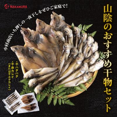 ふるさと納税 鳥取市 山陰のおすすめ干物セット【中村商店】