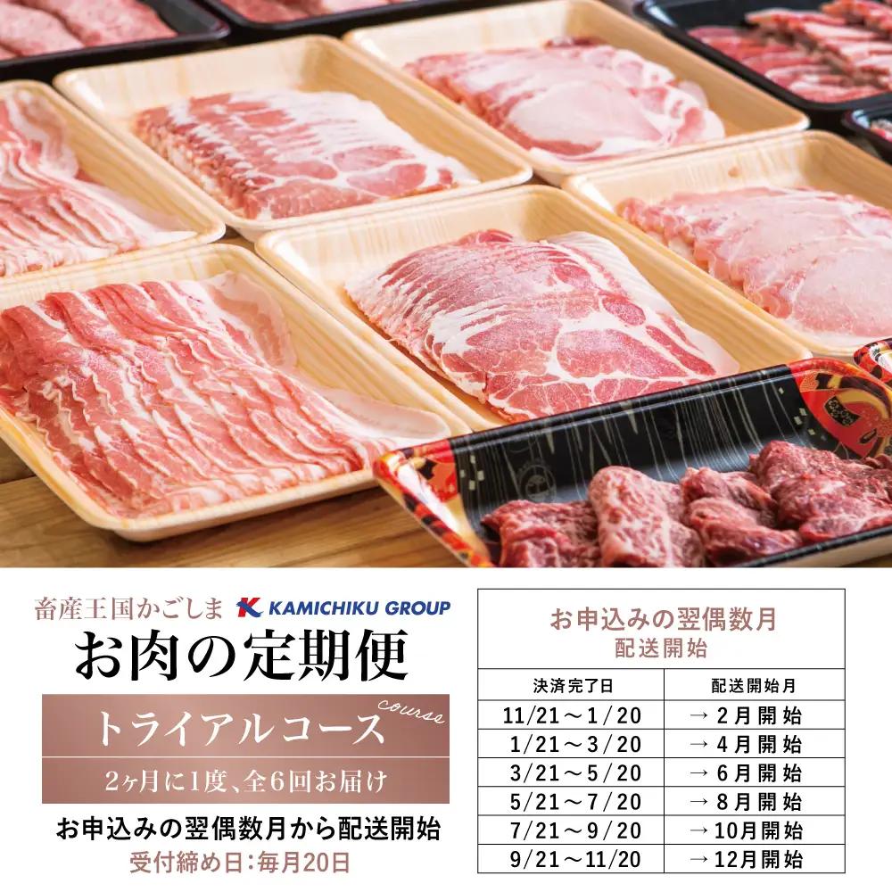 【定期便全6回】情熱牧場 鹿児島県産お肉の定期便 トライアルコース お肉 ステーキ すき焼き しゃぶしゃぶ 焼肉 BBQ A5等級 黒毛和牛 牛肉 豚肉 スライス 小分け 定期便 冷凍 カミチク 南さ