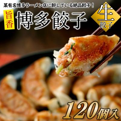 ふるさと納税 新宮町 【創業40年の老舗が誇る味わい】博多餃子120個.AC238