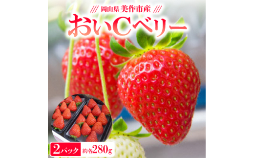 岡山県美作市産　おいCベリー(約280g×2パック)【1464410】