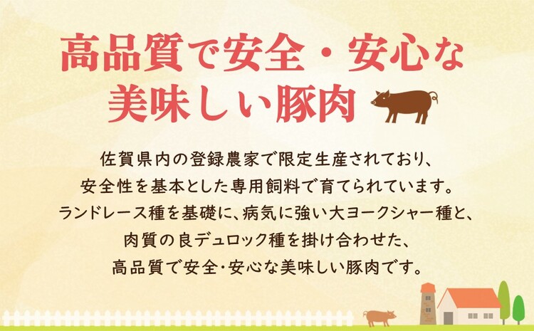 肥前さくらポーク詰合せAセット(ロースとんかつ用・ロース生姜焼き用)【JA トンカツ 生姜焼き 美味しい やわらか ジューシー 安全 高品質 ビタミン タンパク質豊富 限定生産 冷凍】 A2-J012