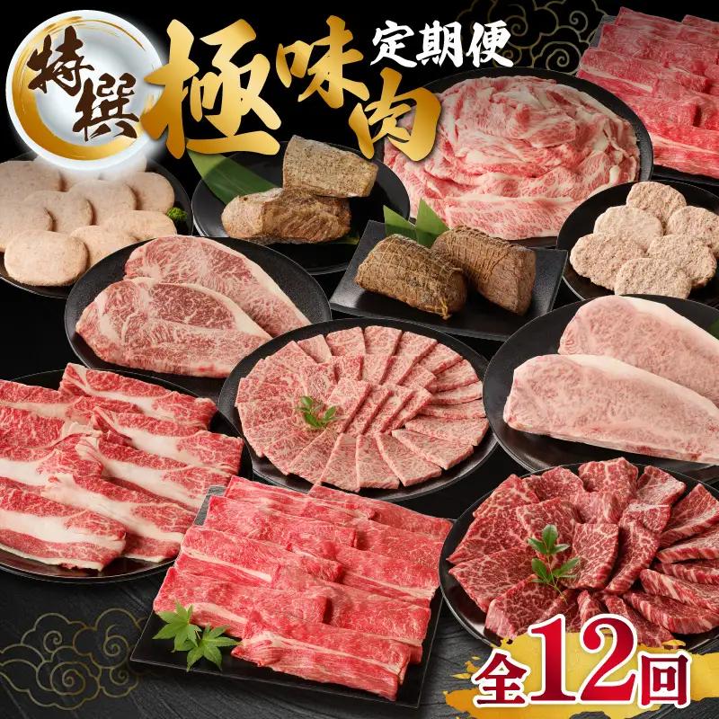 【特撰】佐賀牛 定期便（12回）／ 牛肉 定期便 【Z007】