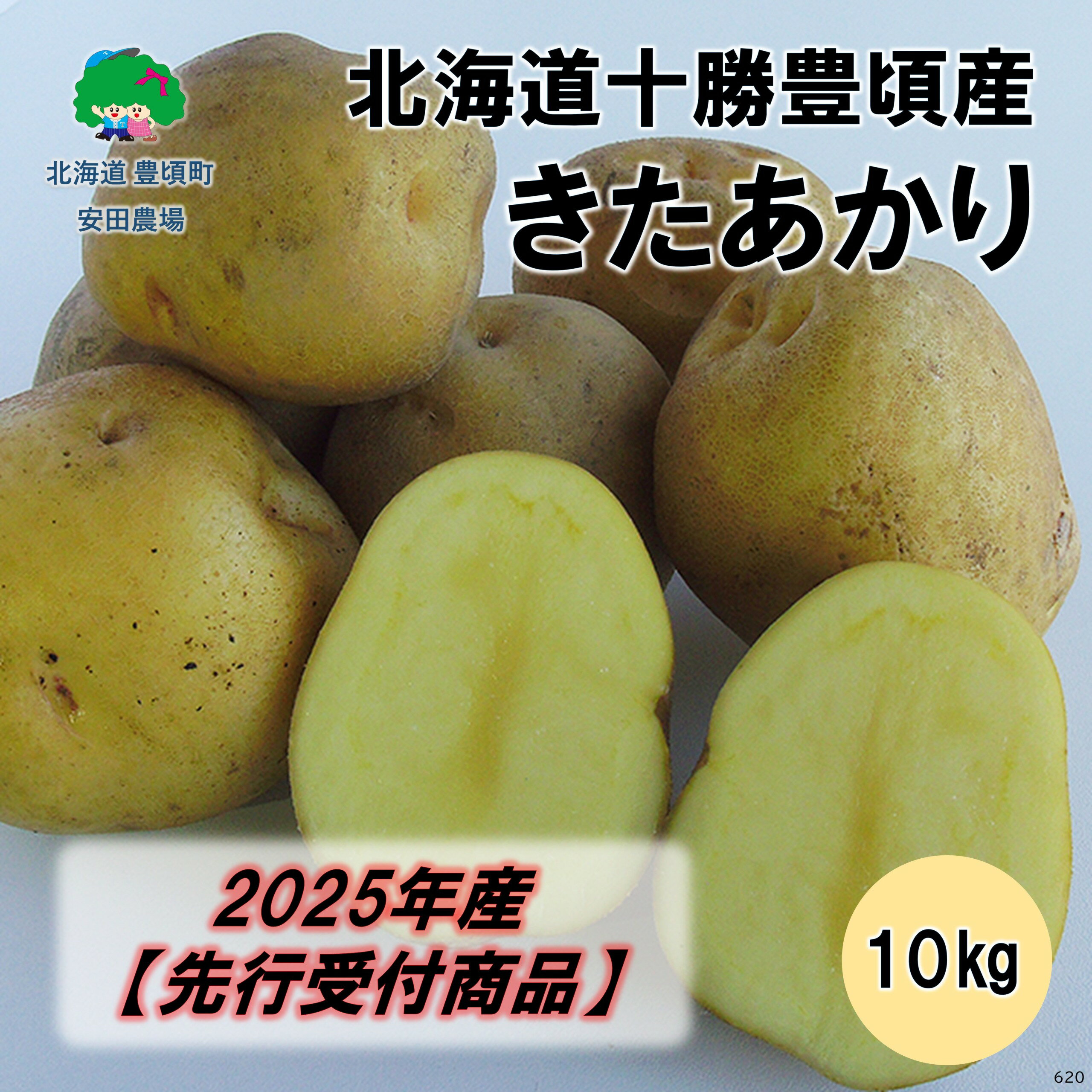 【ふるさと納税】【2025年産】（先行受付）北海道十勝豊頃産 きたあかり 10kg［安田農場］" 北海道 十勝 豊頃町 " 先行予約 予約 特産 農家直送 数量限定 送料無料 じゃがいも ジャガイモ いも 北あかり ホクホク ほくほく 甘い 野菜