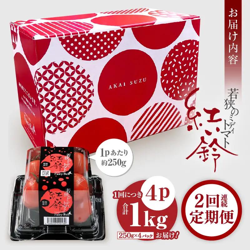 定期便 ≪2ヶ月連続お届け≫ フルーツミディトマト 約1kg × 2回 トマト 野菜 [m37-a026]