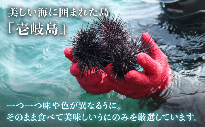 老舗の厳選 おさだの生うに 120g ( 60g × 2本 ) 《壱岐市》【長田商店】[JAO001]