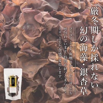 ふるさと納税 利尻富士町 利尻 とろろ昆布 30g 2袋 銀杏草 海藻 1袋《利尻漁業協同組合》 |  | 01