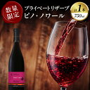 【ふるさと納税】《レビューキャンペーン》 数量限定 プライベートリザーブ ピノ・ノワール 1本 酒 飲料 アルコール 国産 都農ワイン 赤ワイン 辛口 ローストビーフ 肉料理 家飲み 晩酌 パーティー お祝 ご褒美 記念日 イベント お取り寄せ グルメ 宮崎県 都農町 送料無料
