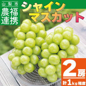 【2025年先行受付】農福連携 シャインマスカット2房(2房合計1kg程度)山梨市【ふるさと納税】【配送不可地域：離島】【1271031】