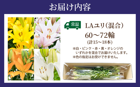 【2週間以内発送】≪期間限定≫LA ユリ(混合) 約15本 生花 切花 百合 国産_T045-0081