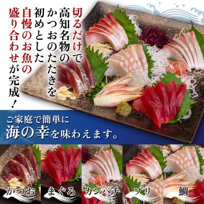 ふるさと納税 須崎市 刺身 5種盛合せ 冷凍 |  | 02