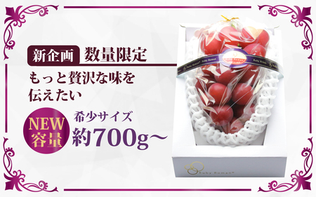 【先行予約 2026年収穫分】ルビーロマン 1房 約700g（1箱）【2026年8月中旬より順次発送】｜ ぶどう 