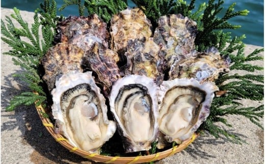 能登穴水の牡蠣（むき身）　加熱用　1.0kg