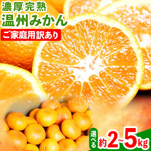 【ふるさと納税】【先行予約】【ご家庭用訳アリ】 紀州有田産 濃厚完熟温州みかん 選べる内容量 約2kg 約5kg 魚鶴商店《2025年11月下旬-2026年2月上旬頃出荷予定》 和歌山県 日高町 みかん 温州みかん 完熟 濃厚 柑橘 ご家庭用