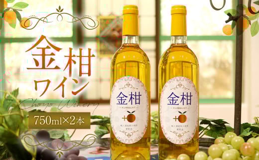 AS-175 金柑ワイン 2本（750ml×2） 朝陽ワイナリー 果実酒 ワイン 酒 お酒 白ワイン 金柑