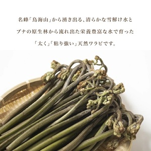 SA2891　庄内産 天然わらび (アク抜き済み)　約1.2kg(200g×6束)
