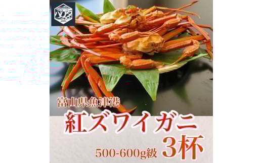 
            魚卸問屋のベニズワイガニ 500～600g級×3杯 ※2024年12月上旬～2025年5月下旬頃に順次発送予定 ※北海道・沖縄・離島への配送不可
          