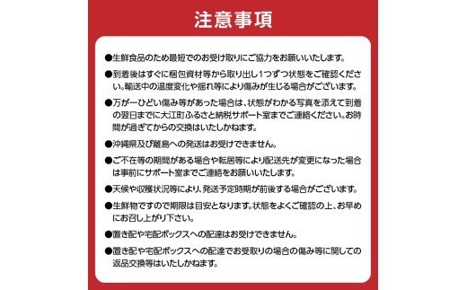 ≪先行受付≫ デリシャス６種のフルーツ盛定期便【定期便全5回】