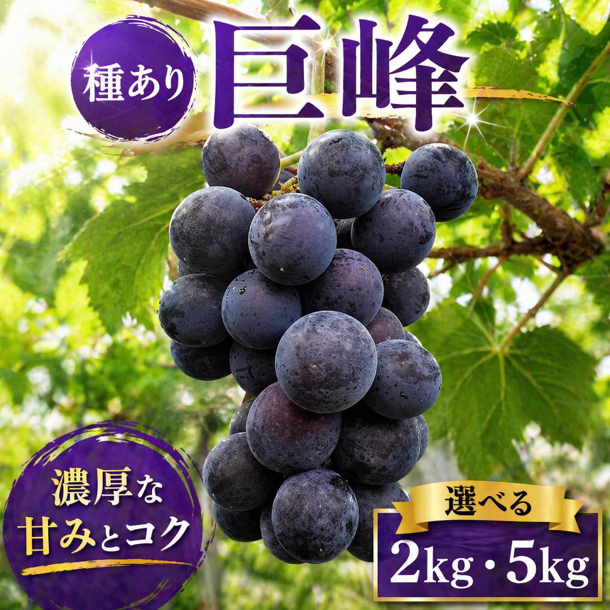
                  【 先行予約 】 ぶどう 巨峰 種あり 2kg 5kg 《 2026年 8月 上旬 ～ 順次発送 》フルーツ ぶどう 葡萄 期間限定 旬 産地直送 農家直送 産直 贈答 家庭用 ギフト 中内農園 ぶどう 直売所 徳島県 阿波市 
                