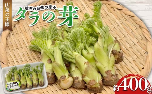 山菜の王様 鏡石の自然の恵み タラの芽 約400g（約50g×8） 山菜 野菜 食品 F6Q-469