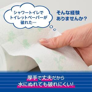 シャワートイレのためにつくった 吸水力が2倍のトイレットペーパー 12R× 6パック（ダブル） リーフ柄プリント　無香料