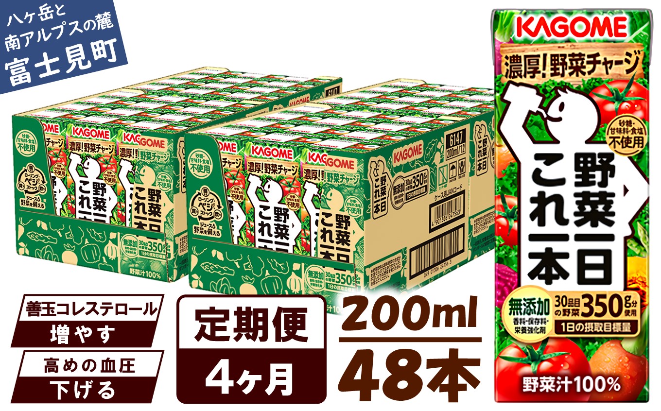 【 定期便 4ヶ月連続お届け】カゴメ 野菜一日これ一本 200ml×48本入 一日分の野菜 1日分の野菜 野菜100％ 紙パック 野菜ジュース 飲料類 ドリンク 野菜ドリンク 備蓄 長期保存 防災 無添加 砂糖不使用 甘味料不使用 食塩不使用 栄養強化剤不使用 飲み物