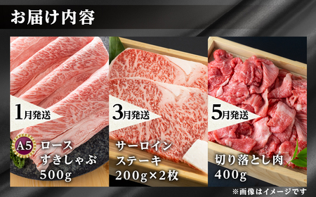 《まるごと定期便》6回 奇数月 厳選 お届け 飛騨牛 三昧 肉 肉づくし 白川郷 もも肉 切り落とし サーロイン ステーキ しゃぶしゃぶ すき焼き120000円 12万円 国産 焼肉 カルビ 牛肉 A