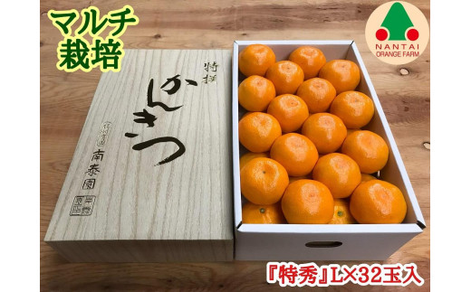 
マルチ栽培 有田みかん 化粧箱 特秀 L サイズ 32玉入 南泰園
