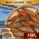 【ふるさと納税】【数量限定】 獲れたて 足赤海老 500g 【冷凍】 | 国産 徳島 アシアカエビ クマエビ