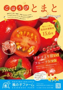 トマトジュース 500ml 2本 糖度10度以上 トマトジュース