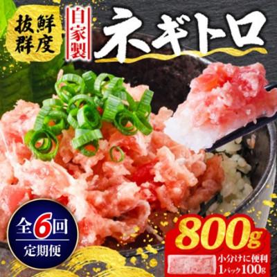 ふるさと納税 松山市 【毎月定期便】ネギトロ 月1回 800g (100g×8パック) 小分け全6回