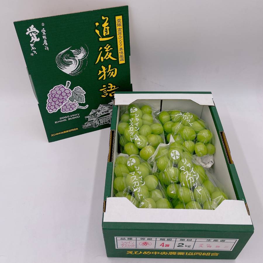 ＜愛媛県産＞「道後物語」シャインマスカット4～5房　計2kg