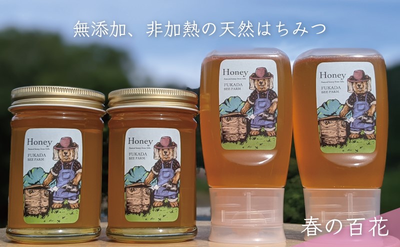 【先行予約 2025年6月20日より発送】合計1060g 天然蜂蜜 国産蜂蜜 非加熱 生はちみつ 岐阜県 美濃市産 春 (蜂蜜230g入りガラス瓶2本,蜂蜜300g入りピタッとボトル2本のセット)A14 深田養蜂のハチミツ