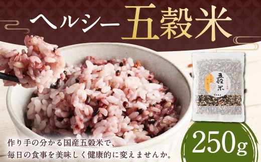 ヘルシー五穀米 250g 五穀米 雑穀米 雑穀 五穀 米 お米 黒米 押し麦 麦 もち麦 玄米 赤米 ブレンド 常温 お取り寄せ 国産 九州産 熊本県 湯前町