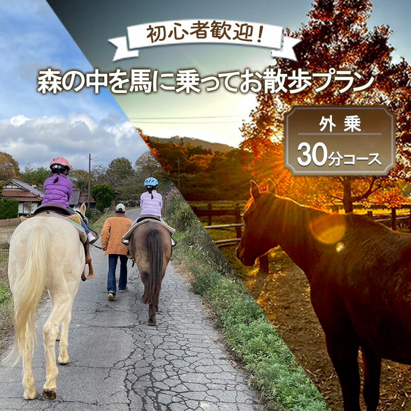 【ふるさと納税】初心者歓迎 森の中を馬に乗ってお散歩プラン(30分) 外乗 体験 広島 安芸高田市 エオの谷