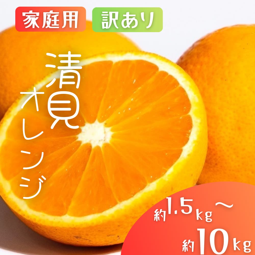 【ふるさと納税】国産 オレンジ 希少 手選別 清見オレンジ 【家庭用・訳あり】 約1.5kg / 約2kg / 約4.5kg / 約6kg / 約8kg / 約10kg 和歌山県産 サイズ混合 【北海道・沖縄・離島配送不可】【2026年2月上旬～5月中旬頃に順次発送】