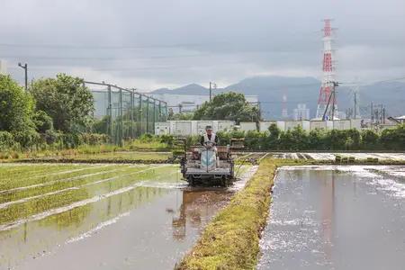 新米 [定期便／6ヶ月連続][令和8年産／10月中旬より順次発送] 伊勢原産 精米 10kg (5kg×2袋) はるみ 農家直送！亀井さんちのうんめぇ！自家製米 [1141]