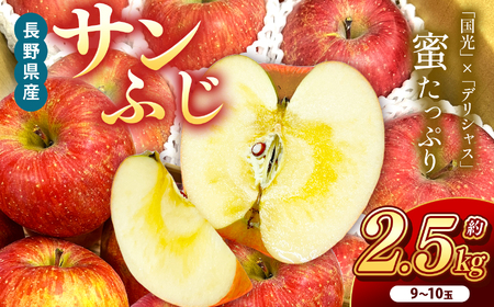 南信州産 サンふじ 約2.5kg 9～10玉 | りんご 林檎 リンゴ サンふじ 果物 フルーツ ジューシー 信州 南信州 送料無料 ふるさと納税 長野県 飯田市