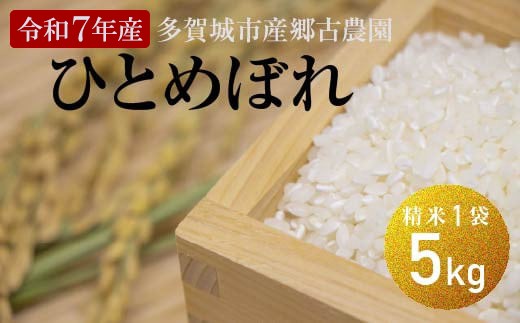 
                  【令和7年産】多賀城市産郷古農園ひとめぼれ　精米5kg（5kg×1袋）　【04209-0280】
                