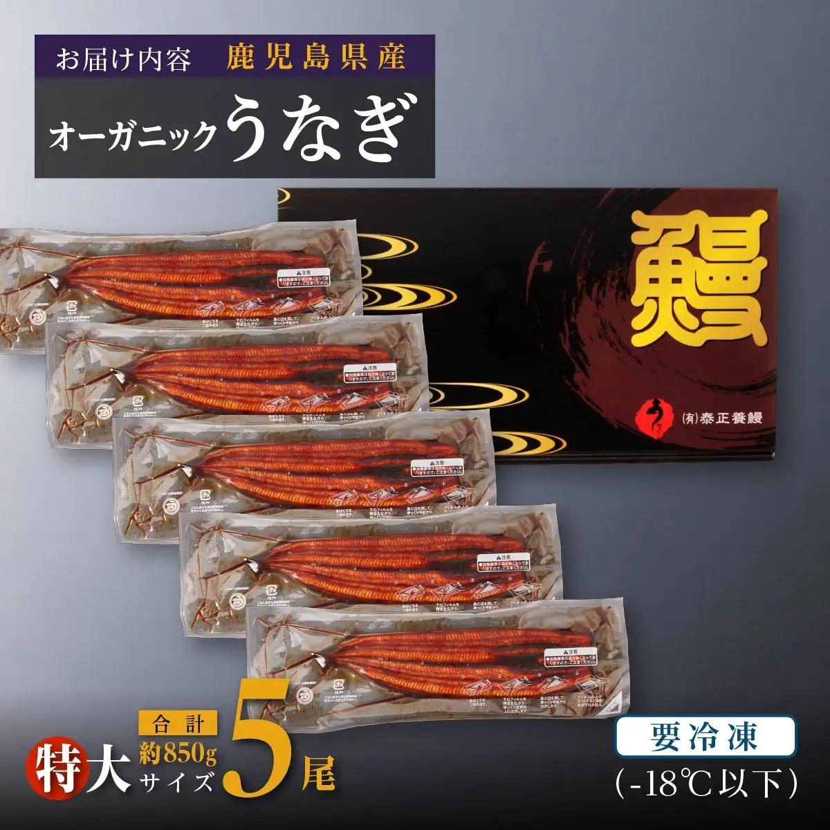 泰正オーガニック うなぎ 蒲焼　特大5尾  | うなぎ