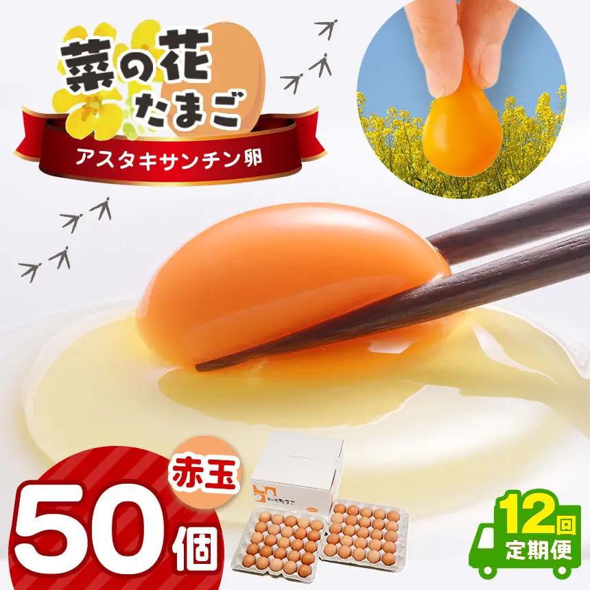 《全12回定期便》新鮮 ★【 赤玉 50個 】君津市産 菜の花エッグ アスタキサンチン 菜の花たまご | 早く届く すぐ すぐ発送 卵 たまご タマゴ　鶏卵 玉子 赤 こだわり 卵かけご飯 たまご焼き オムレツ とろける お菓子作り 新鮮 食卓 オススメ 千葉県 君津市 きみつ