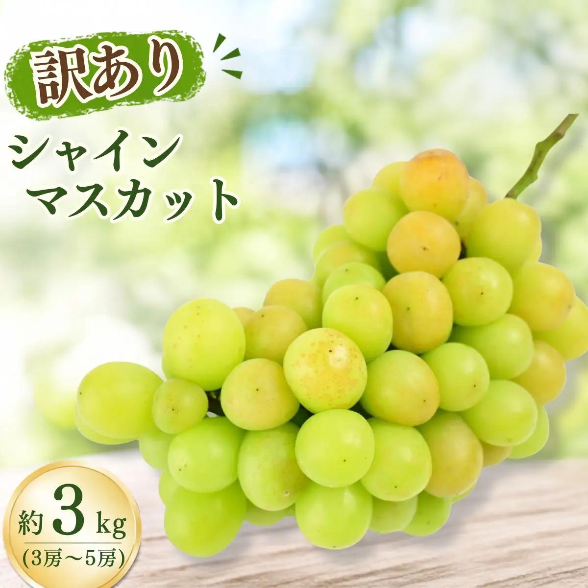 【農家直送（収穫日に発送）】訳アリ シャインマスカット 3kg (3~5房)　訳あり