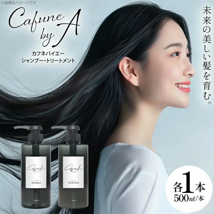シャンプー トリートメント シャンプー 500ml 1本 トリートメント 500ml 1本
